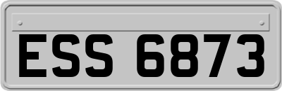 ESS6873