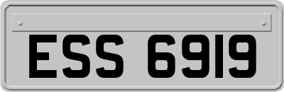 ESS6919