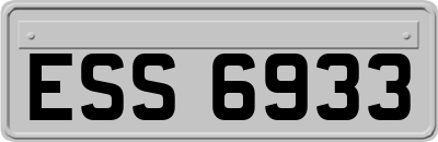 ESS6933