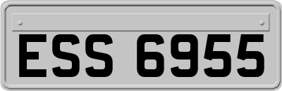 ESS6955