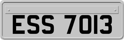 ESS7013