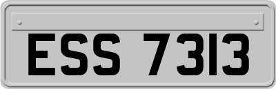 ESS7313