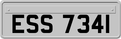 ESS7341