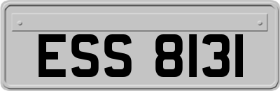 ESS8131