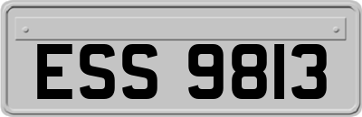 ESS9813