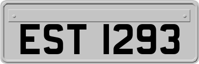 EST1293