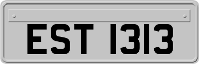 EST1313