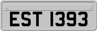 EST1393