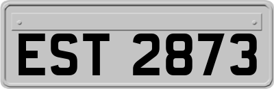 EST2873