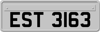 EST3163