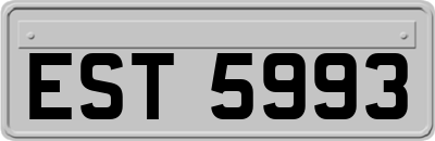 EST5993