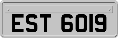 EST6019