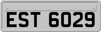 EST6029