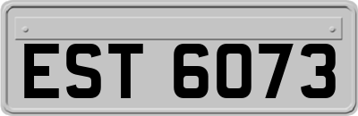 EST6073