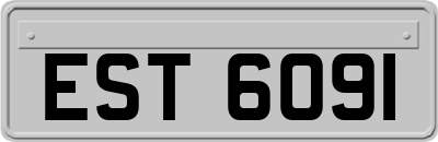 EST6091