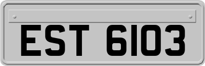EST6103