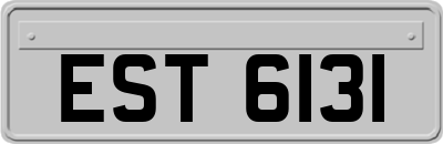 EST6131