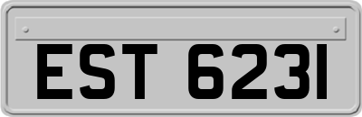 EST6231