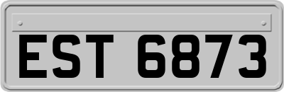 EST6873