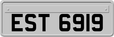EST6919
