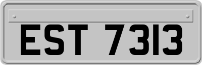 EST7313