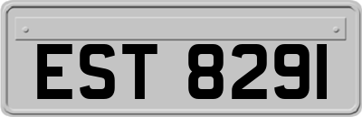 EST8291