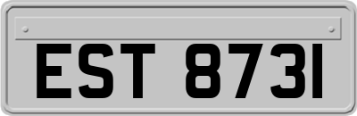 EST8731