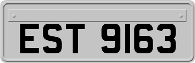 EST9163