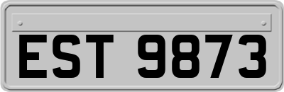 EST9873