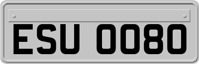 ESU0080