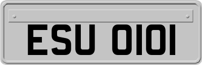 ESU0101