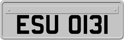 ESU0131