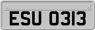 ESU0313