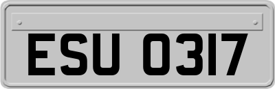 ESU0317
