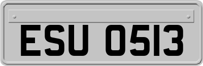 ESU0513