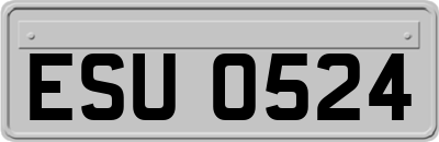 ESU0524