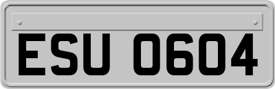 ESU0604