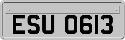 ESU0613