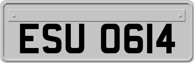 ESU0614