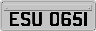 ESU0651