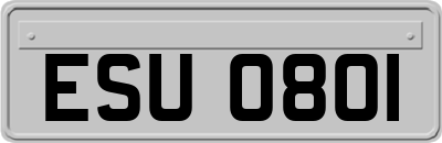 ESU0801