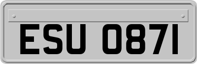 ESU0871