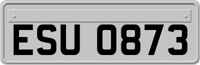 ESU0873