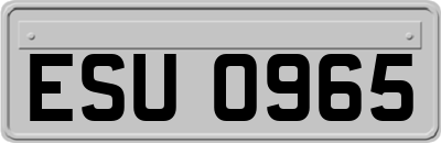 ESU0965