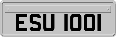 ESU1001