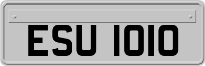 ESU1010
