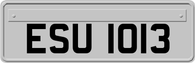 ESU1013