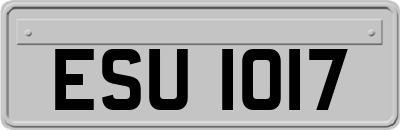 ESU1017