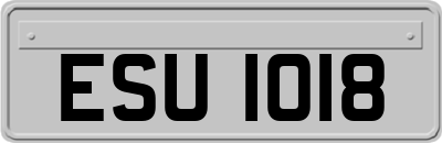 ESU1018