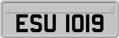 ESU1019